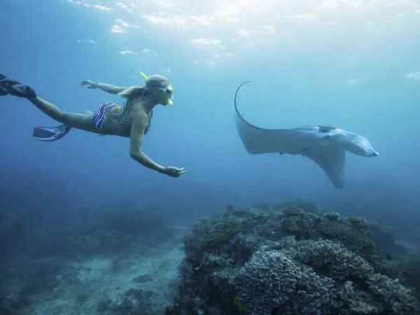 Snorkeling Manta Bay Nusa Penida – Lokasi dan Harganya