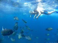 10 Tempat Snorkeling di Nusa Penida