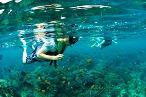 Tempat Snorkling Di Nusa Penida