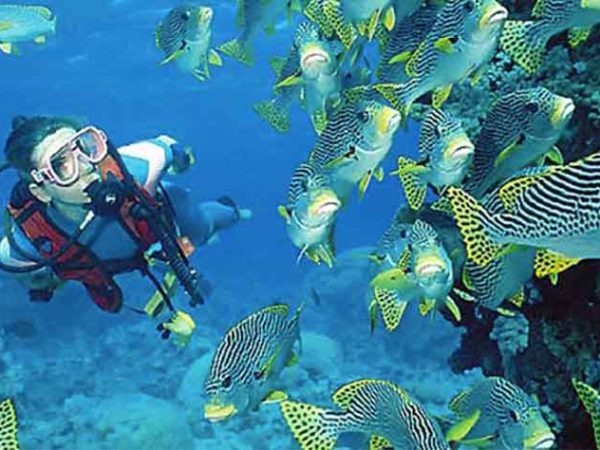 Snorkeling Nusa Penida, Petualangan Yang Bermanfaat